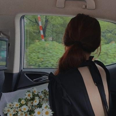 亲爱的大笨象